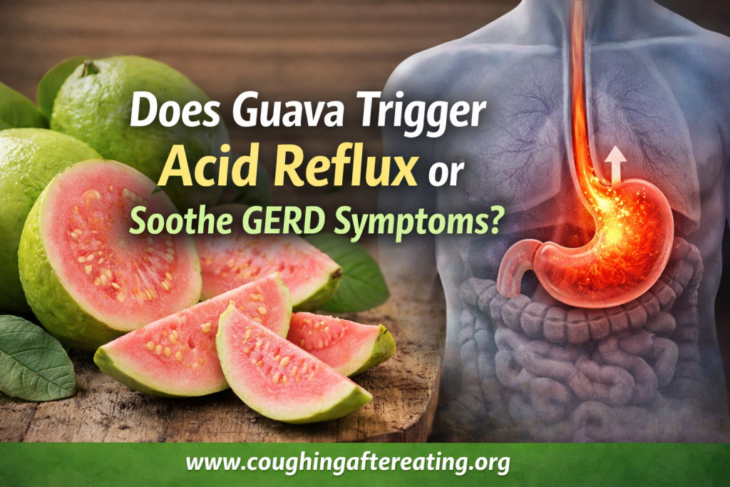 Guava and acid reflux illustration showing GERD symptoms